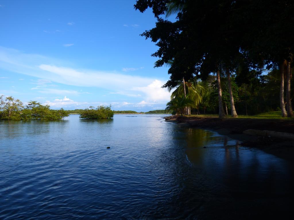 Corcovado Beach Lodge Puerto Jiménez エクステリア 写真