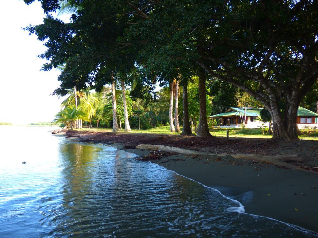 Corcovado Beach Lodge Puerto Jiménez エクステリア 写真