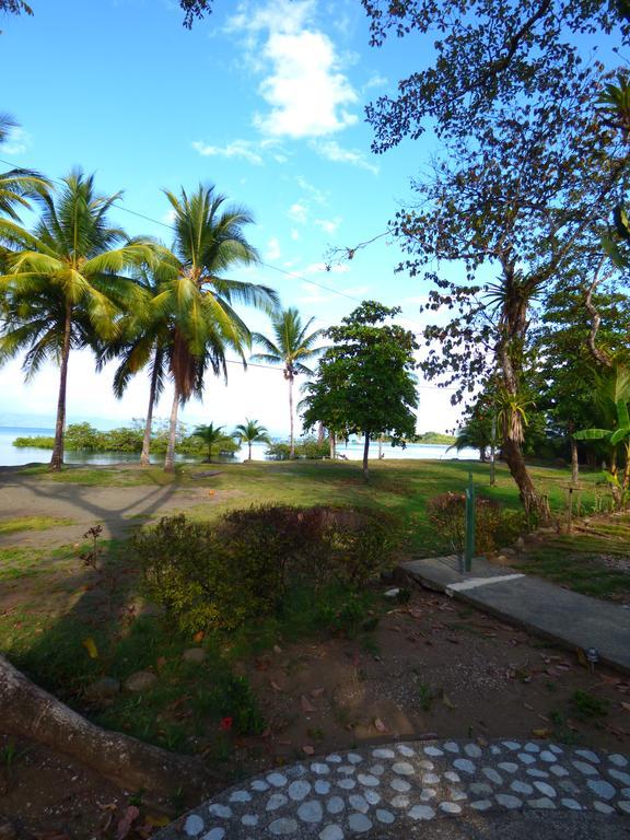 Corcovado Beach Lodge Puerto Jiménez エクステリア 写真