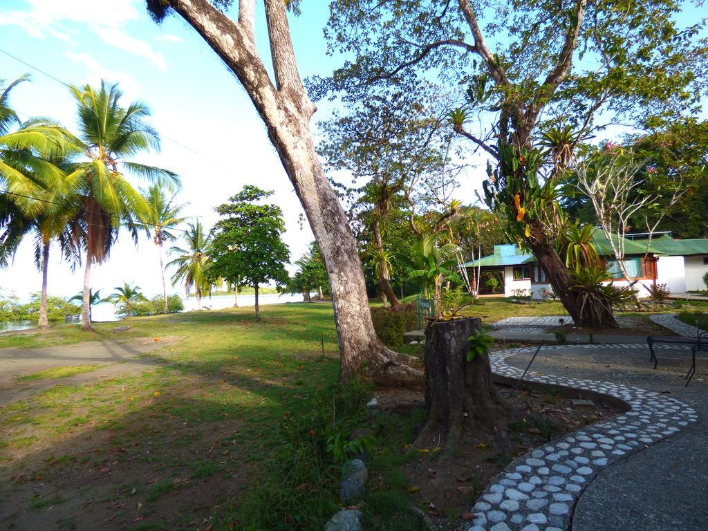 Corcovado Beach Lodge Puerto Jiménez エクステリア 写真