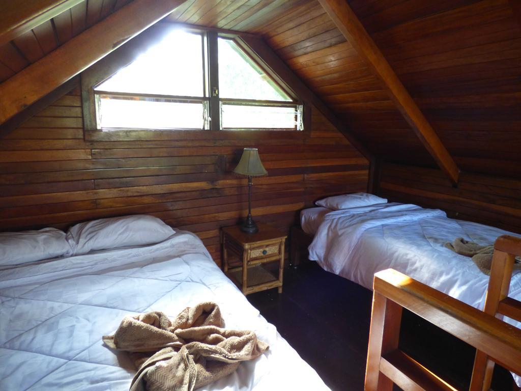 Corcovado Beach Lodge Puerto Jiménez 部屋 写真