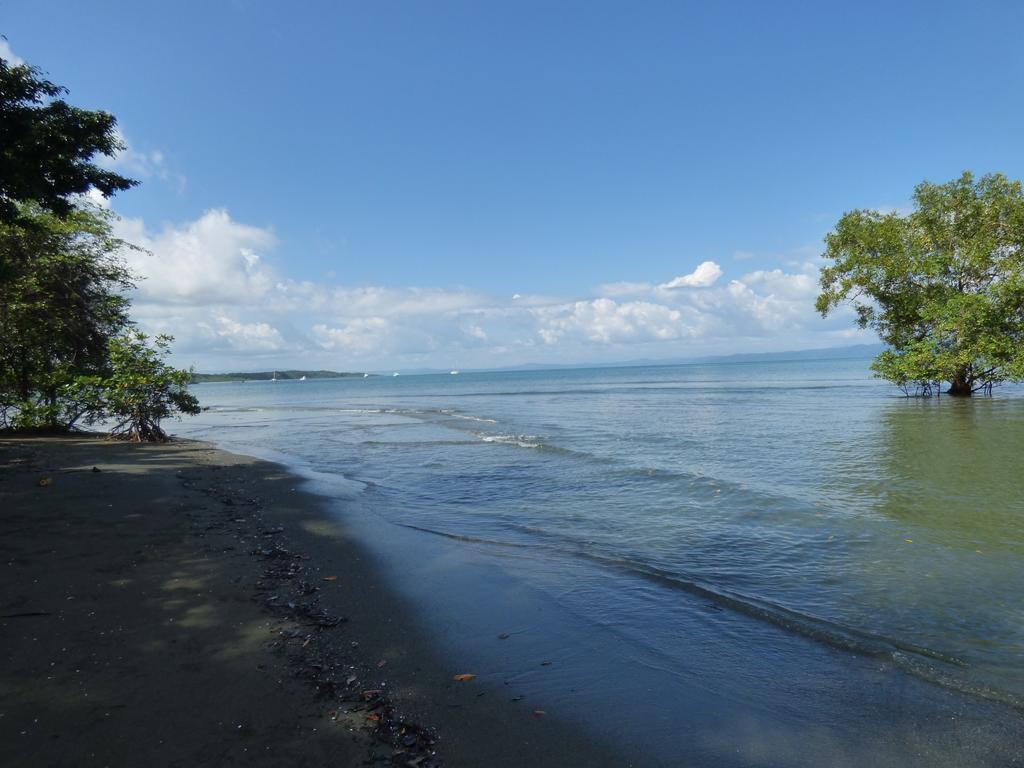 Corcovado Beach Lodge Puerto Jiménez エクステリア 写真