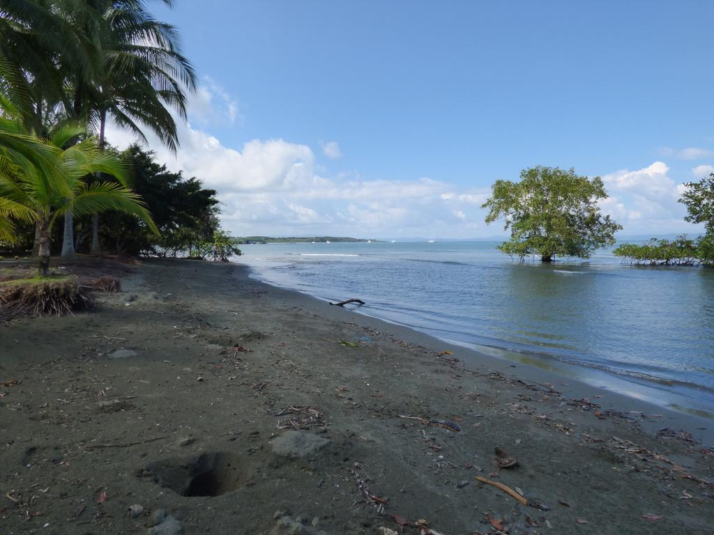 Corcovado Beach Lodge Puerto Jiménez エクステリア 写真