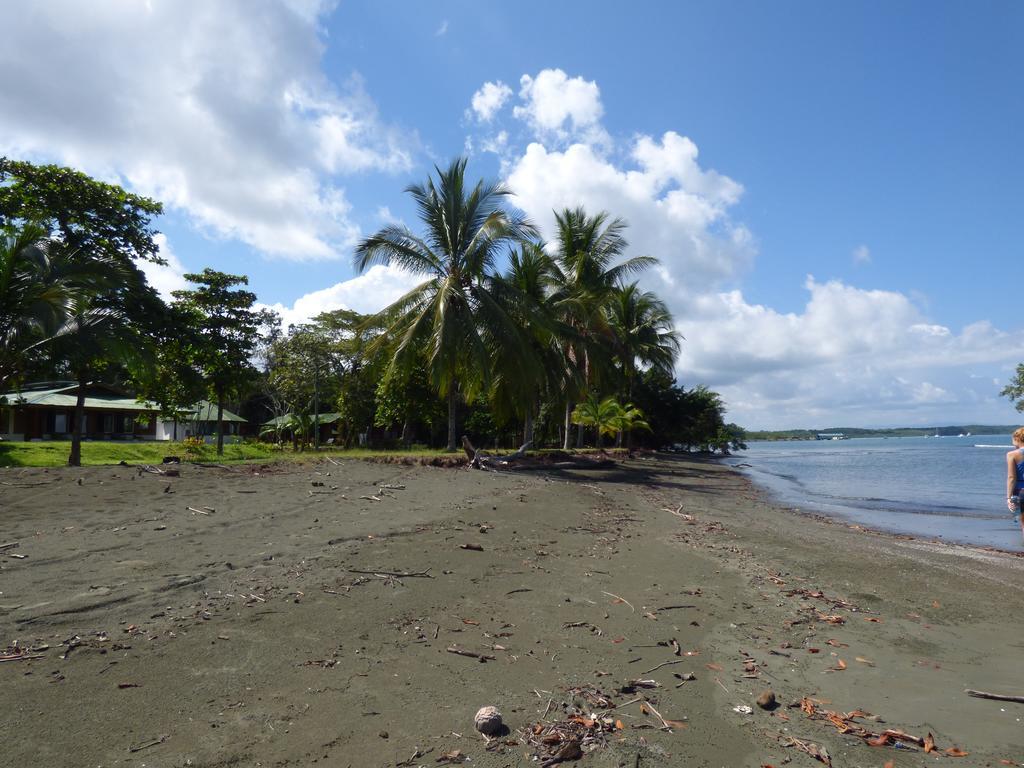 Corcovado Beach Lodge Puerto Jiménez エクステリア 写真