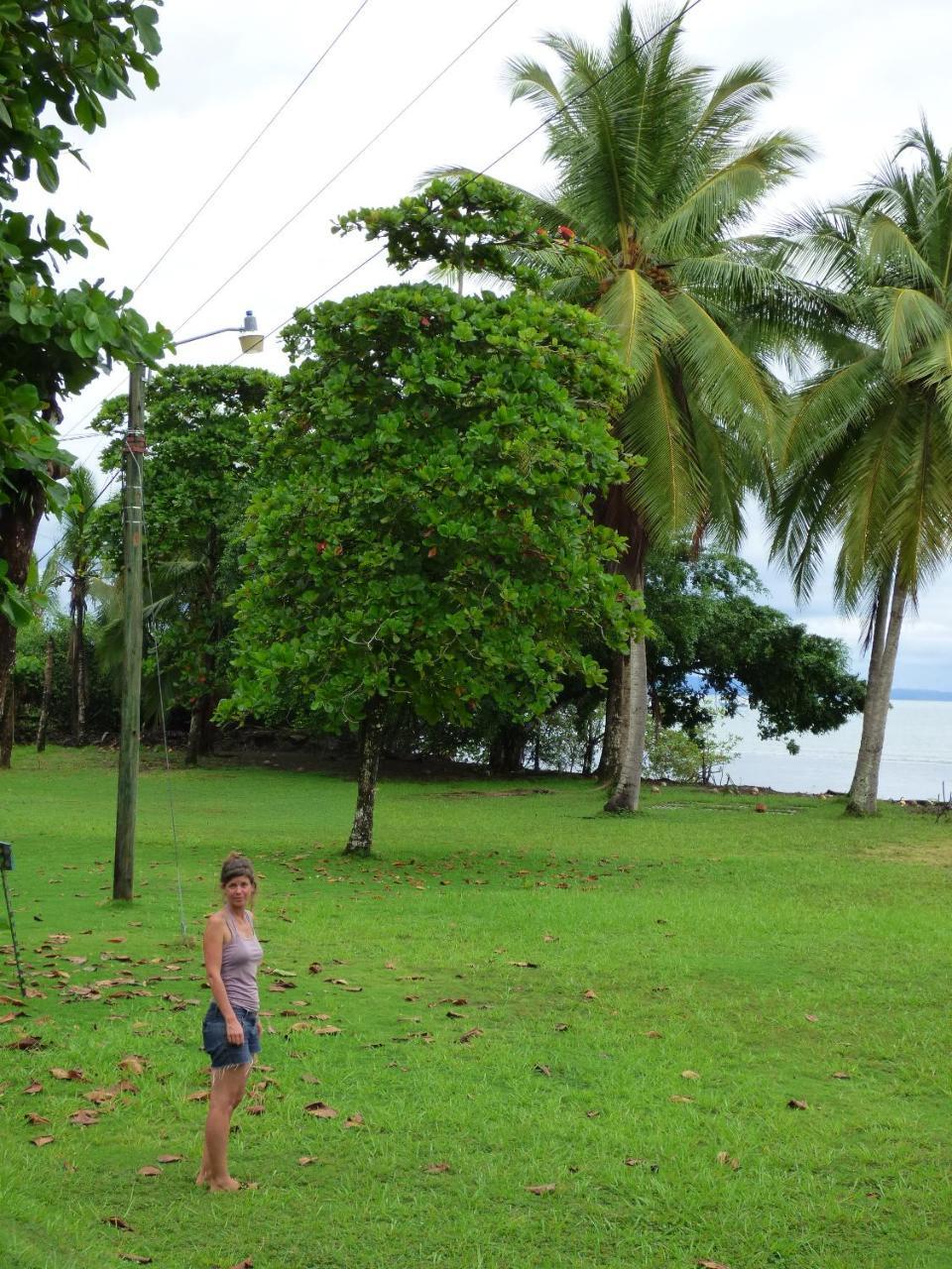 Corcovado Beach Lodge Puerto Jiménez エクステリア 写真